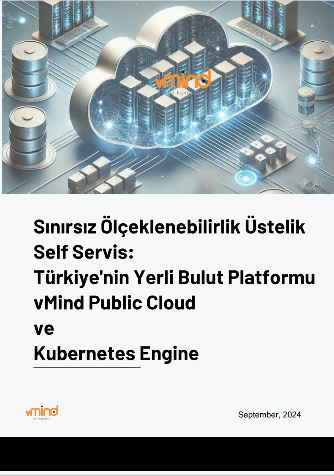 vMind Public Cloud Whitepaper